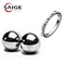 Chrome Steel Ball